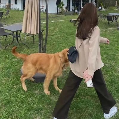 恋上纯喫茶 续篇