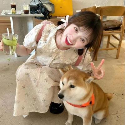 红色多瑙河